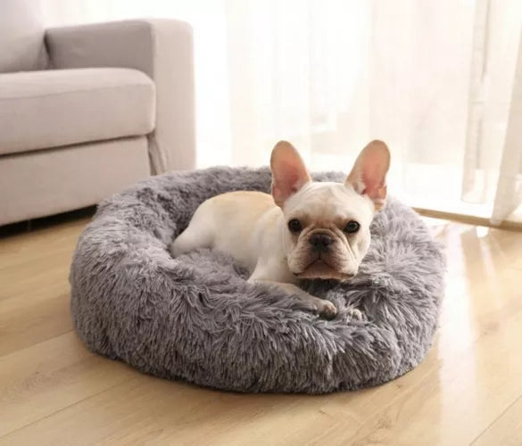 Augintinio Gultas, 50 cm, Pilkas