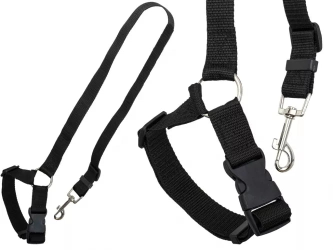 Automobilio Pavadėlio Saugos Diržas Šunų Katei